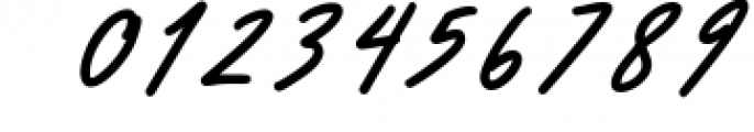 Carttinos Signature Typeface 1 Font OTHER CHARS