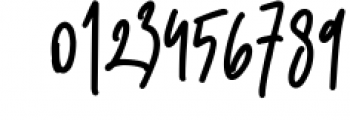 Cayttons Signature Font Font OTHER CHARS