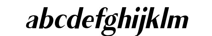Cagile Italic Font LOWERCASE