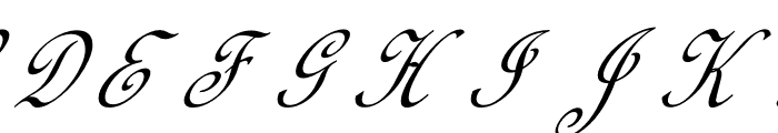 Calligraphy Script Font UPPERCASE