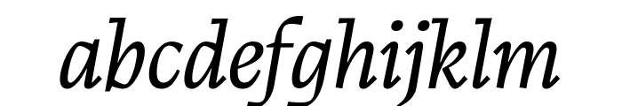 CalvinoTrial Book Italic Font LOWERCASE