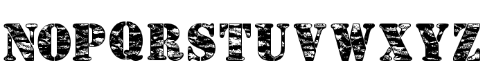 Camouflage Jungle Font LOWERCASE