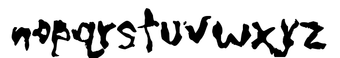 CaniptionFit Font LOWERCASE