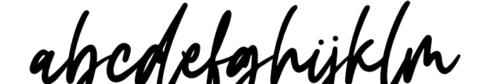 Carolina Signature Font LOWERCASE