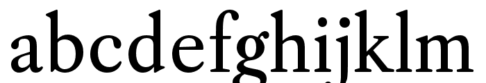 CaslonOS-Regular Font LOWERCASE