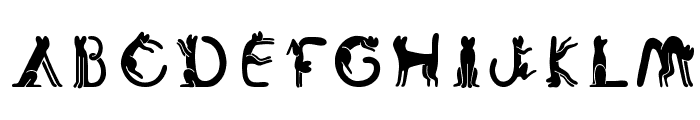 Cat Font Font LOWERCASE