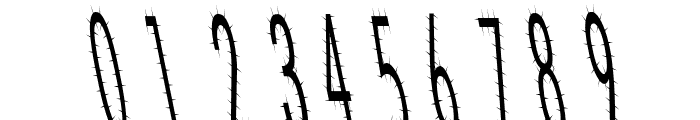 CatScratch Thin Rev Italic Font OTHER CHARS
