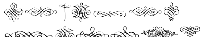 Calligraphia Latina Regular 1 Font LOWERCASE