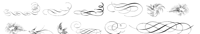 Calligraphia Latina Soft Four Font LOWERCASE