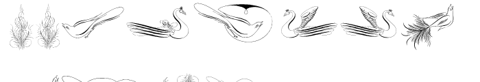 Calligraphic Birds Font LOWERCASE