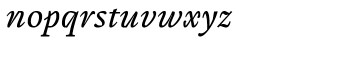 Cardamon Italic Font LOWERCASE