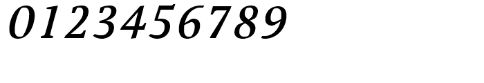 Cardamon Medium Italic Font OTHER CHARS