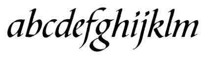 Calligraph Script Regular Font LOWERCASE