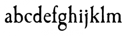 Caslon Antique Pro Regular Font LOWERCASE