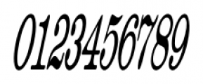 Catalog Serif JNL Compressed Oblique Font OTHER CHARS