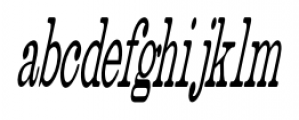 Catalog Serif JNL Compressed Oblique Font LOWERCASE