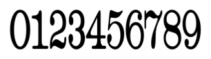 Catalog Serif JNL Ultra Condensed Font OTHER CHARS