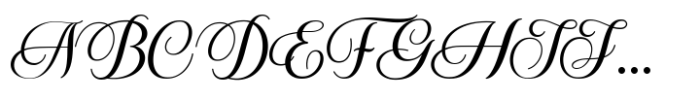 Calestine Calligraphy Font UPPERCASE
