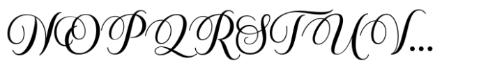 Calestine Calligraphy Font UPPERCASE