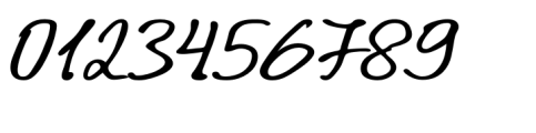 Calisco Script Bold Font OTHER CHARS