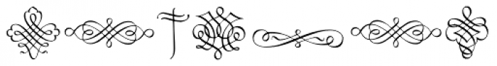 Calligraphia Latina Font LOWERCASE