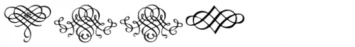 Calligraphia Latina Font LOWERCASE