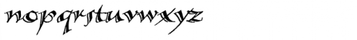 Calligraphica Lx Italic Font LOWERCASE