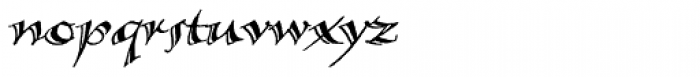 Calligraphica Sx Italic Font LOWERCASE