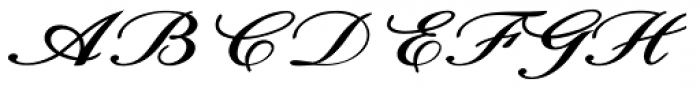 Calligri Expanded Bold Italic Font UPPERCASE