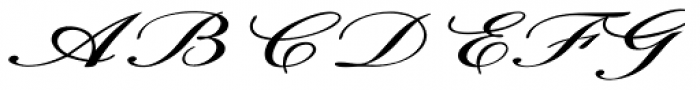 Calligri Extraexpanded Italic Font UPPERCASE