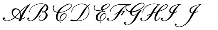Calligri Italic Font UPPERCASE