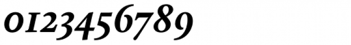 Calluna Bold Italic Font OTHER CHARS