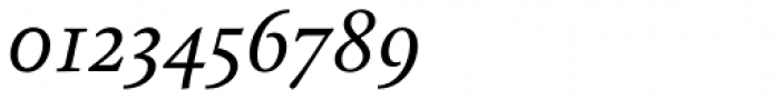 Calluna Italic Font OTHER CHARS