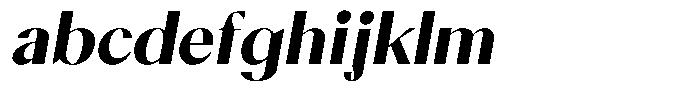Calvion Sans Calvion Black Slanted FONT