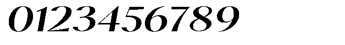 Calvion Sans Calvion Medium Slanted Expanded Font OTHER CHARS