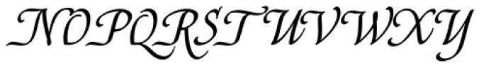 Capellina Script Font UPPERCASE