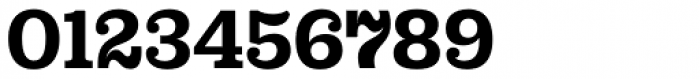 Capital Serif Bold Font OTHER CHARS