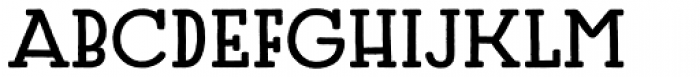 Carin Serif Bold Font UPPERCASE