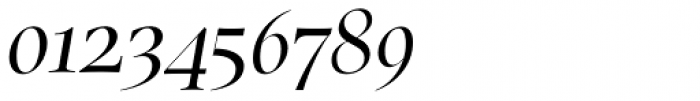 Carmensin Display Regular Italic Font OTHER CHARS