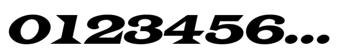 Case Law JNL Oblique Font OTHER CHARS