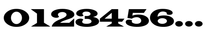 Case Law JNL Regular Font OTHER CHARS