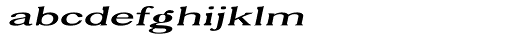 Caslon 2000 Thin Italic Font LOWERCASE
