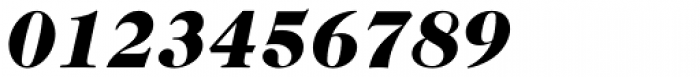 Caslon 224 Std Black Italic Font OTHER CHARS