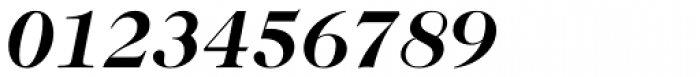 Caslon 224 Std Bold Italic Font OTHER CHARS