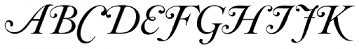 Caslon No 540 Swash D Italic Font UPPERCASE
