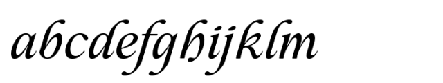 Casthago Italic Variable Font LOWERCASE