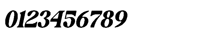 Castio Italic Font OTHER CHARS