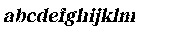 Castio Italic FONT