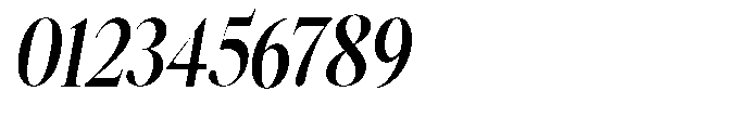 Castlon Bold Condensed Slanted Font OTHER CHARS