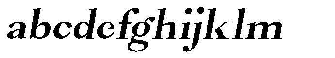 Castlon Bold Contrast Expanded Slanted FONT